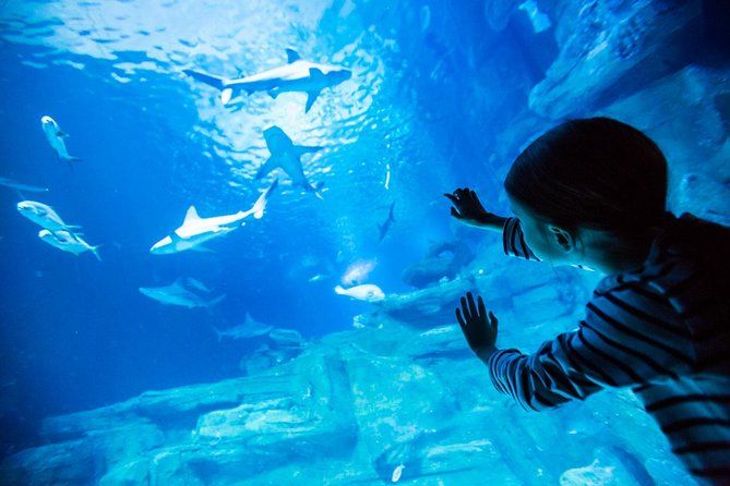 aquarium paris