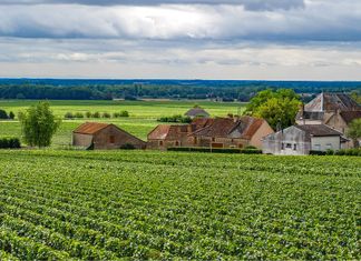 bourgogne