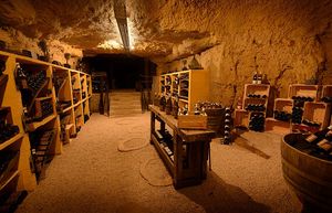 Visite et dégustation dans les Caves Duhard à Amboise