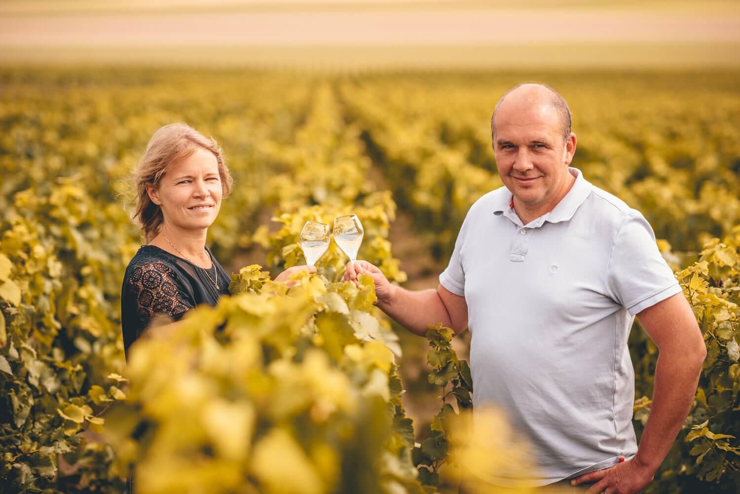 Vivez la fabrication du champagne, de la vigne à votre bouteille