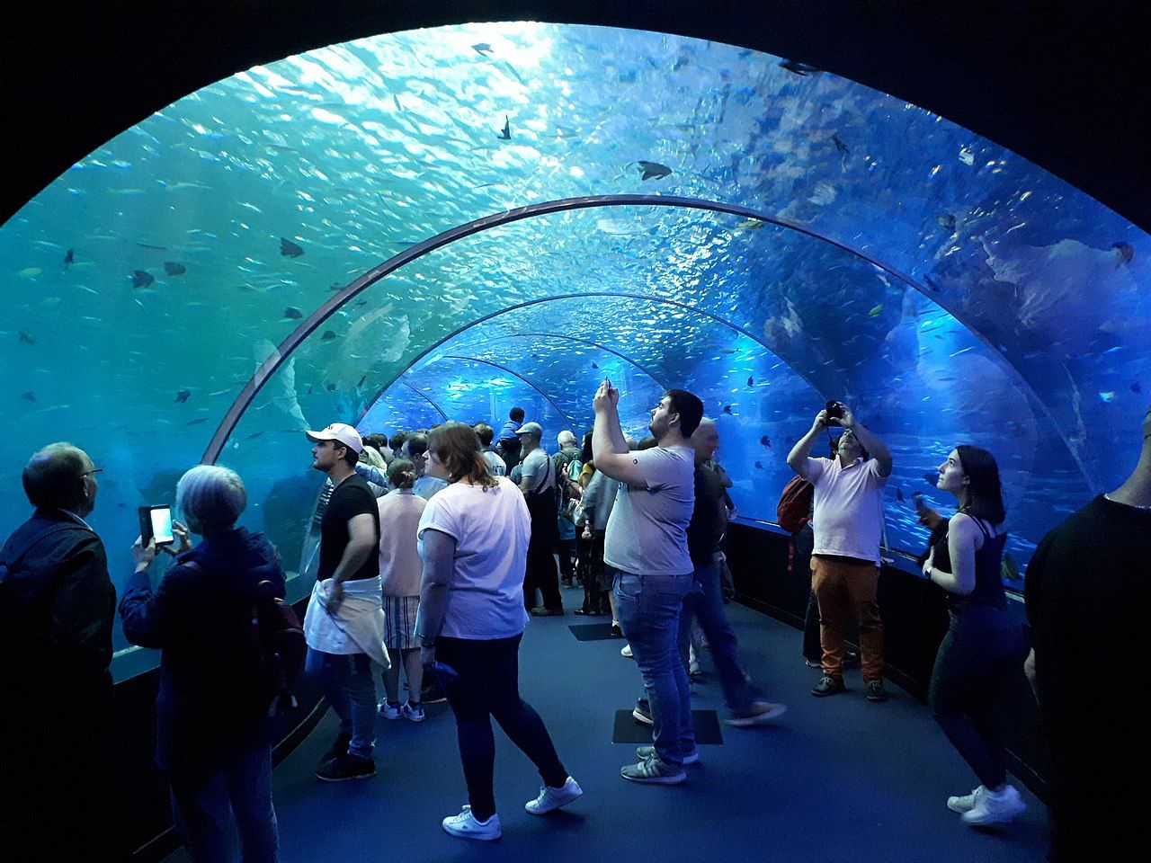 Billet coupe-file pour l’aquarium Nausicaá à Boulogne-sur-Mer