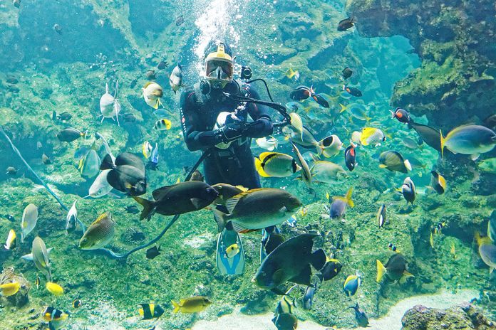 oceanopolis