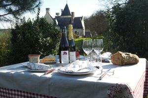 Pique-nique dans les vignes du château du Petit Thouars