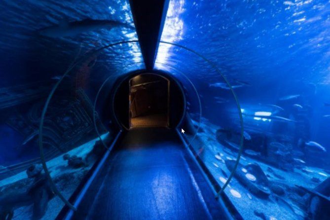 Billet d’entrée à l’aquarium Sea Life Val d’Europe