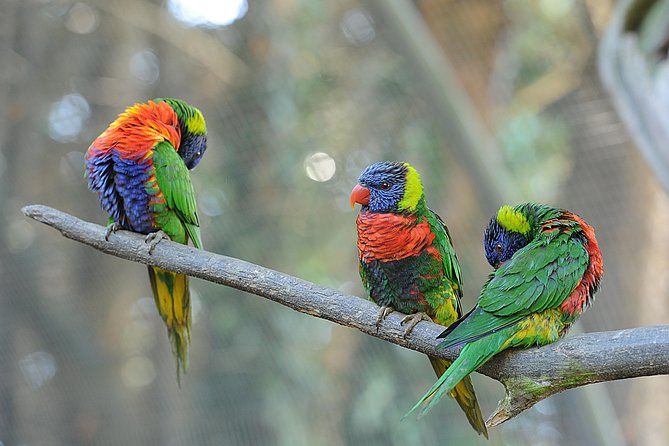 Billets d’entrée au Tropical Parc