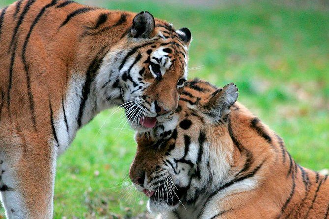 Billets coupe-file pour le zoo de Jurques
