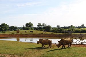 Billets coupe-file pour le zoo de La Boissière du Doré