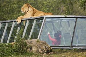 Billets coupe-file pour le Zoo Safari de Thoiry