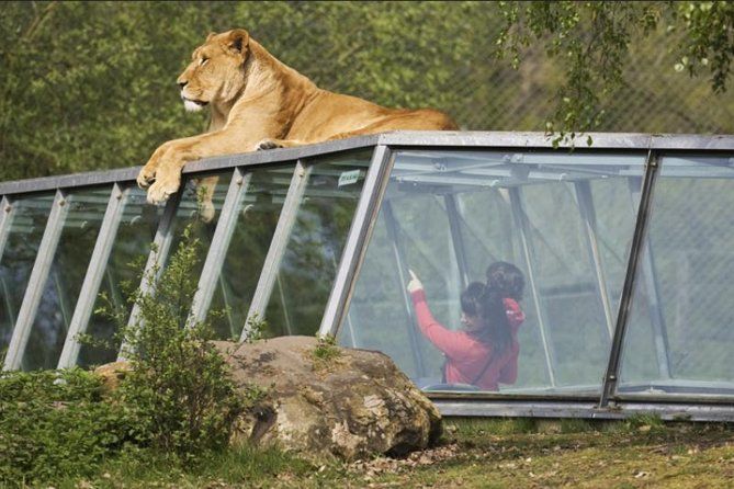 zoo thoiry