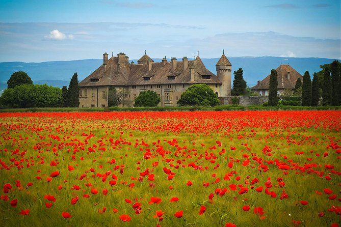 chateau ripaille