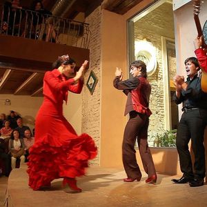 Billet d’entrée à un spectacle de flamenco