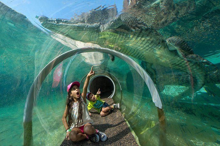 Billet Zoo Miami avec surclassement facultatif