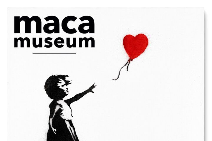 Musée MACA « Banksy et Street Art : exposition d'art de la petite enfance