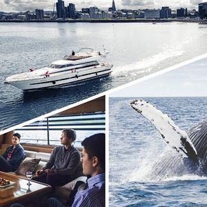 Croisière d’observation des baleines au départ de Reykjavik