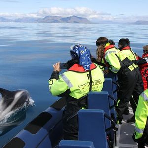 Croisière d’observation des baleines en hors-bord depuis Reykjavik