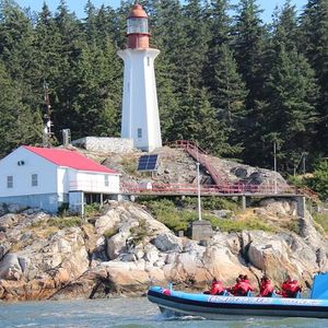 Excursion en bateau à Vancouver à la rencontre des phoques