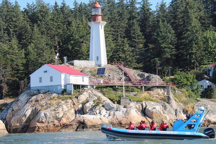 Visite panoramique en bateau de Vancouver et ses phoques