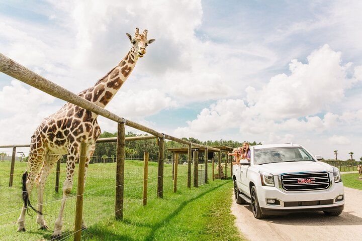Wild Florida Drive-Thru Safari et entrée au Gator Park