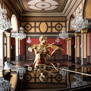 Billets coupe-file pour la maison de Johann Strauss à Vienne