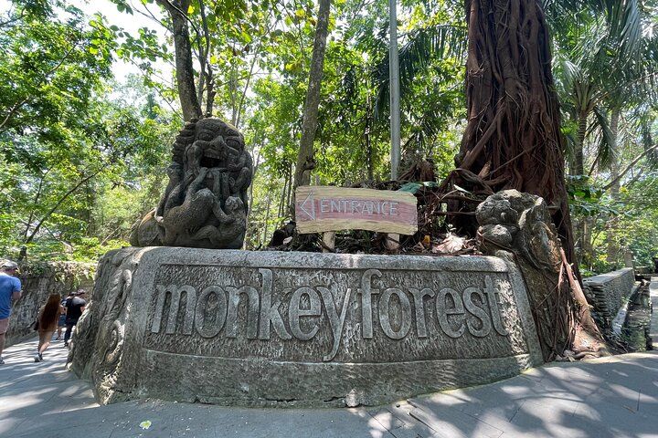 Billets d’entrée au sanctuaire de la forêt des singes d’Ubud