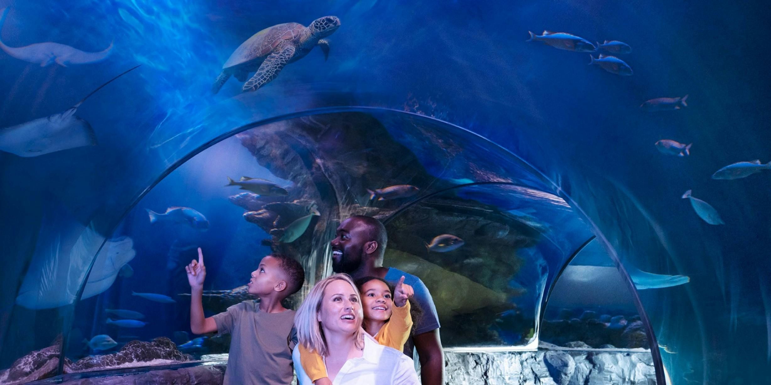 Billets d’entrée pour l’aquarium SEA LIFE à Orlando
