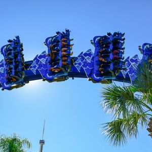 Billets d’entrée pour le parc d’attractions SeaWorld à Orlando