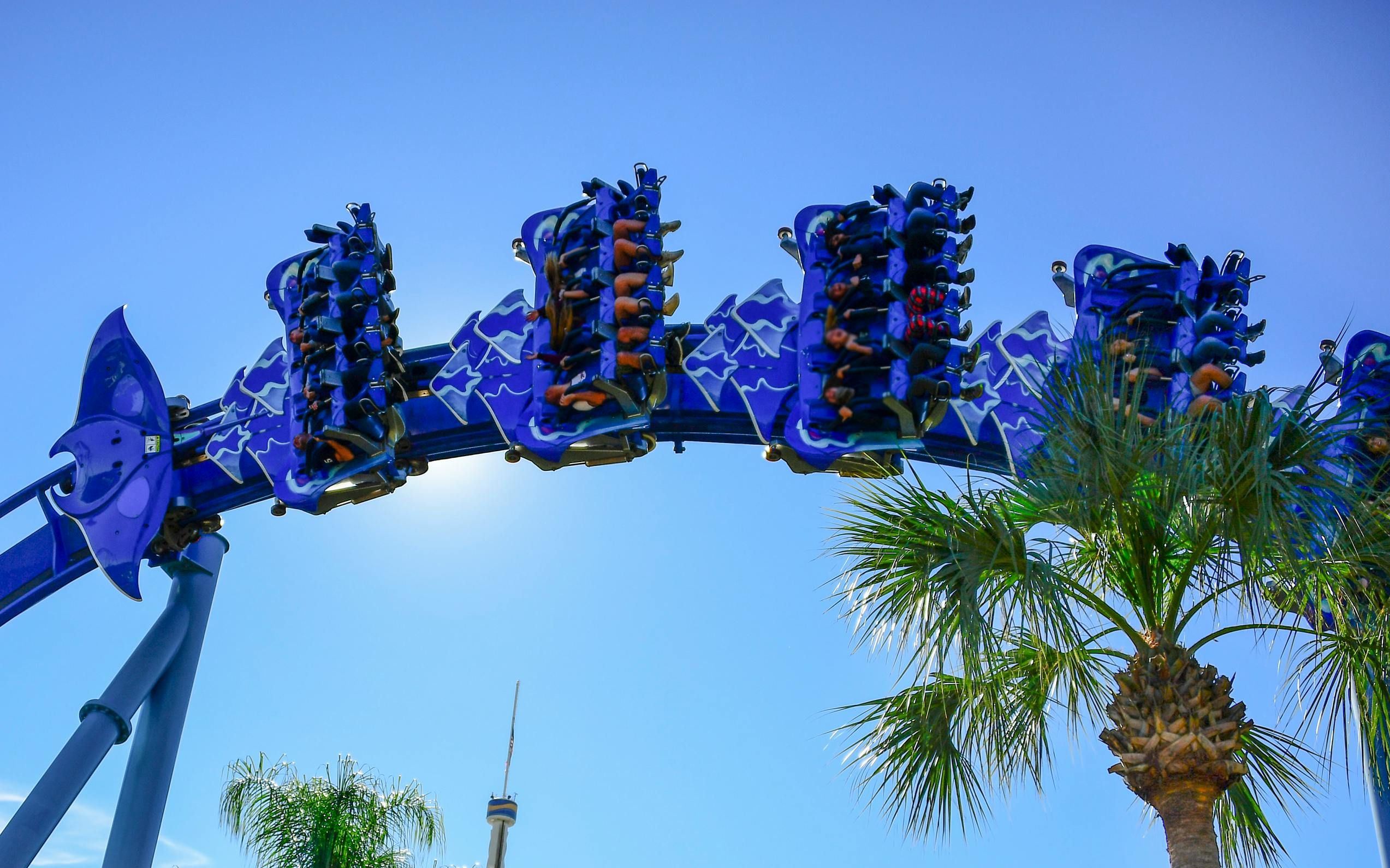 Billets d’entrée pour le parc d’attractions SeaWorld à Orlando