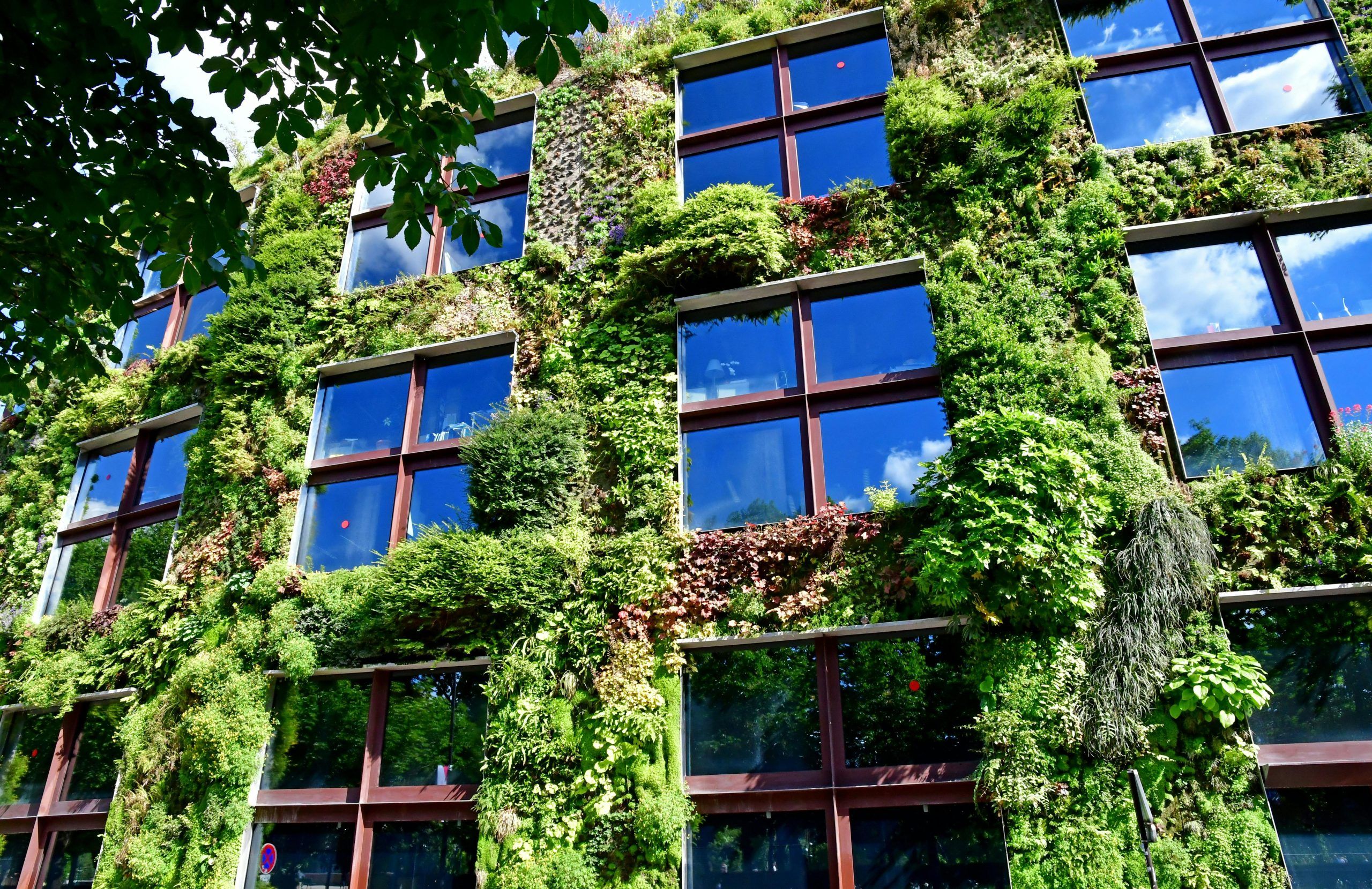 Billets pour le musée du quai Branly à Paris