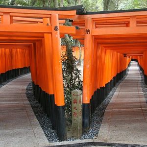 Visite de Kyoto en bus avec billets d’entrée et audioguide en français