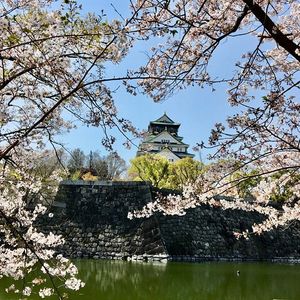 Visite guidée du château d’Osaka avec guide privé francophone