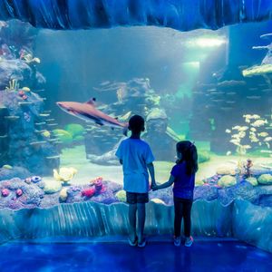 Billets pour l&rsquo;aquarium Sea Life à Sydney