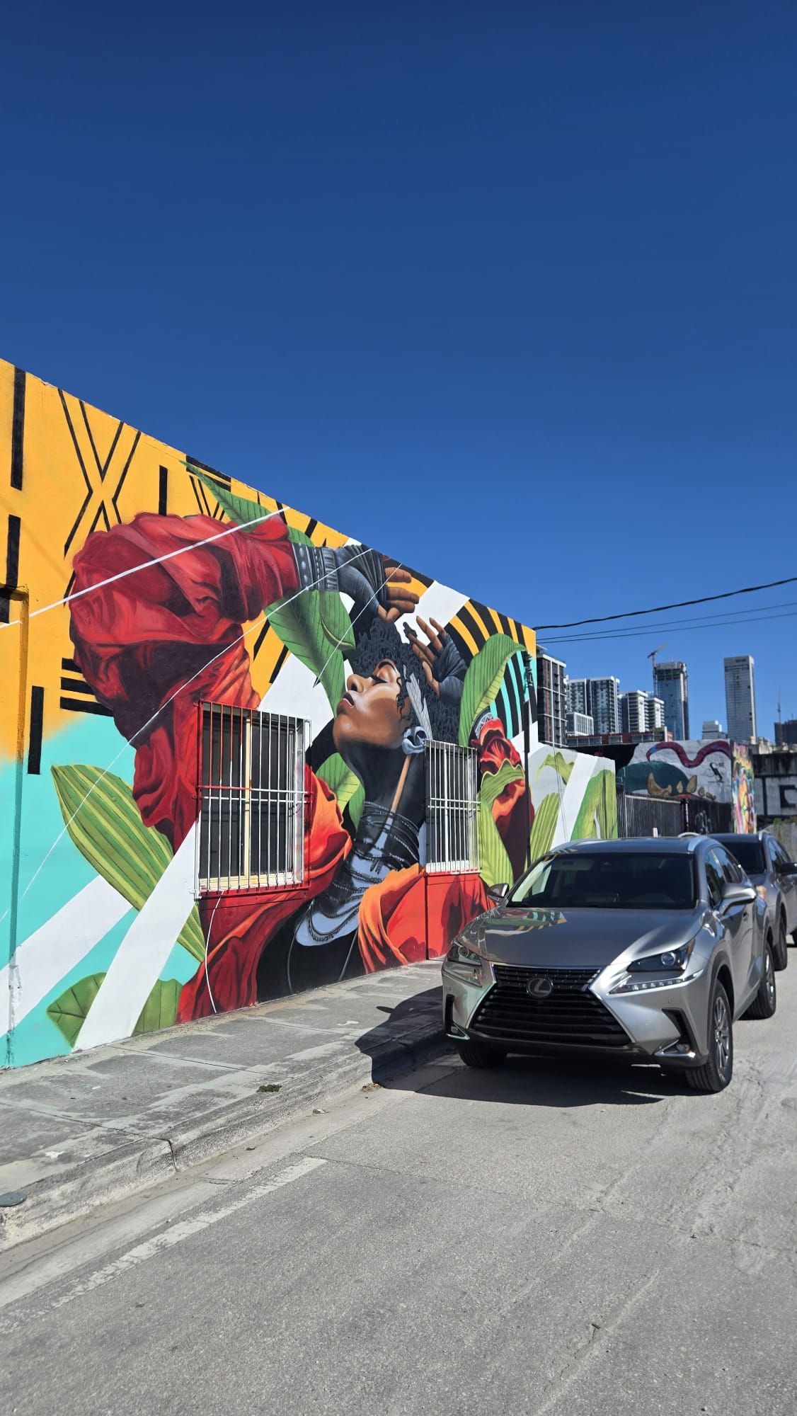 Fresque murale de street art dans le quartier de Wynwood à Miami